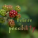 believe in possibility