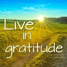 Live in Gratitude