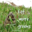 eat more greens